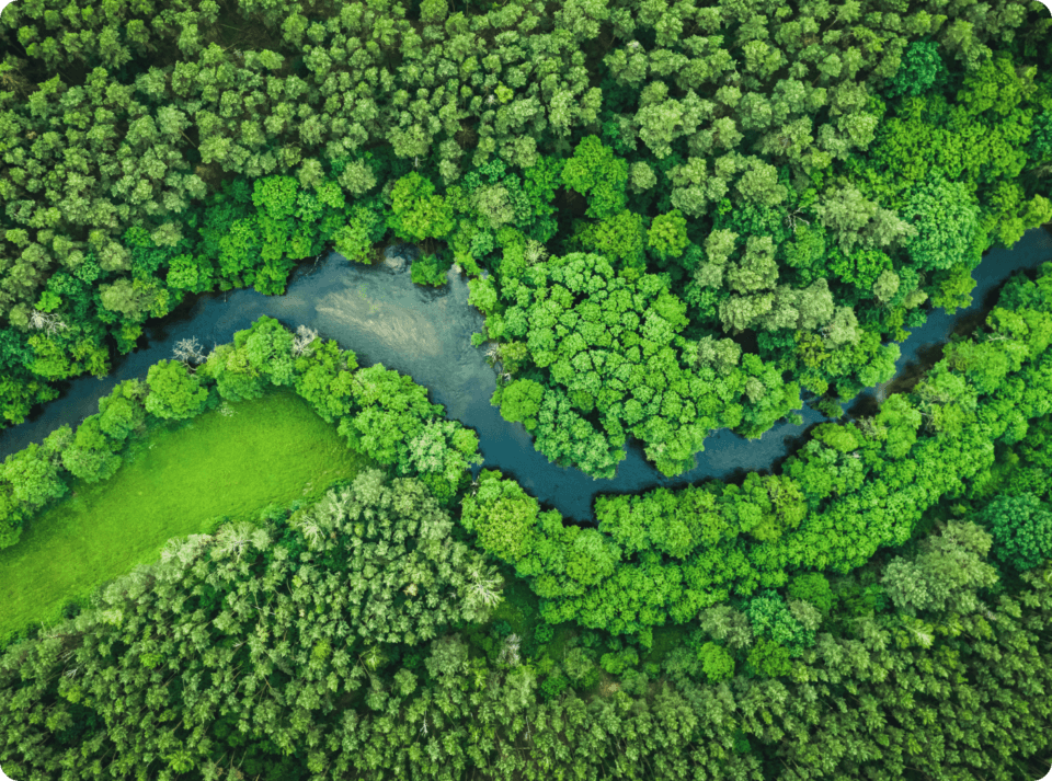An aerial shot of the Green forest and river in Tuchola national park
