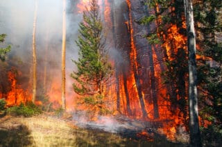 wildfire smoke